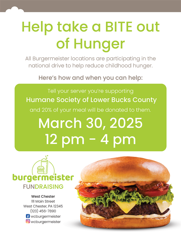 Show details for Fundraising Flyer